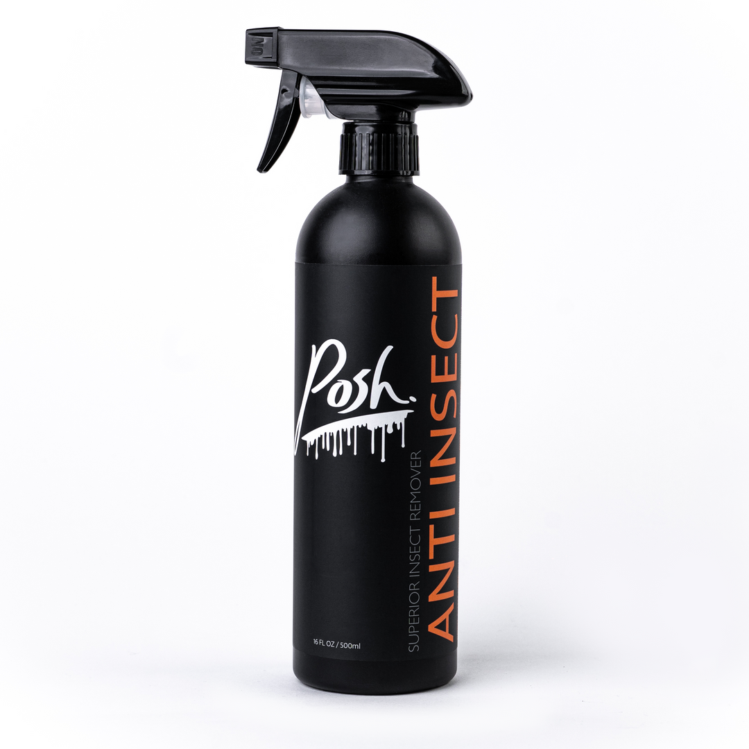 Anti Insect