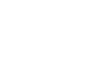 Posh Auto Care Ltd